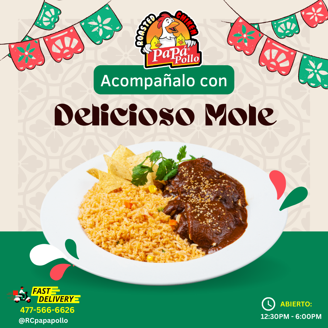 Arroz con Mole Combo